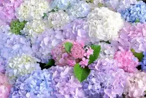 写メ日記 星川せな 6/17(水) 23:20
