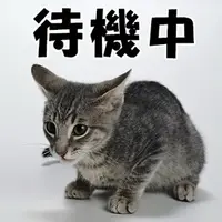 写メ日記 三上りこ 6/29(月) 15:22