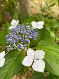 写メ日記 えま 7/10(金) 20:17