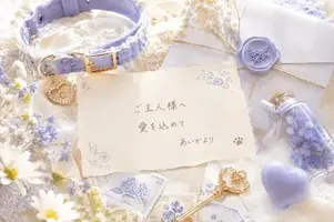 写メ日記 あいか 8/6(木) 22:23