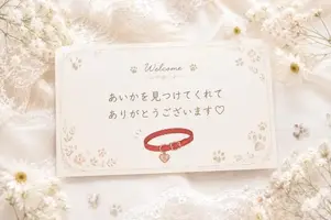 写メ日記 あいか 8/23(日) 11:38