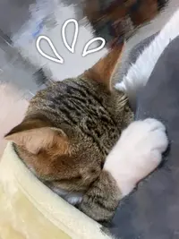 写メ日記 さわ 9/2(水) 13:52