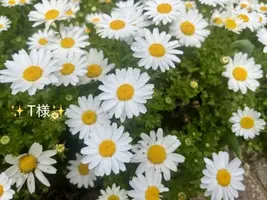 写メ日記 小山真帆 9/4(金) 14:52