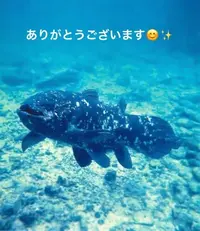 写メ日記 すみ 9/6(日) 14:24