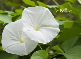 写メ日記 小山真帆 9/6(日) 22:04