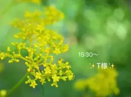 写メ日記 小山真帆 9/6(日) 22:14