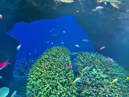写メ日記 ひな 9/7(月) 15:18