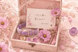 写メ日記 あいか 9/8(火) 22:03