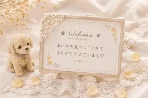 写メ日記 あいか 9/17(木) 20:18