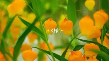 写メ日記 小山真帆 9/20(日) 12:00