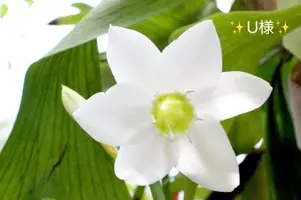 写メ日記 小山真帆 9/20(日) 18:50