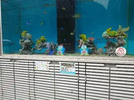 写メ日記 あきほ 9/22(火) 08:45