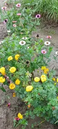 写メ日記 立花恋 9/23(水) 06:22