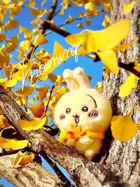 写メ日記 みう 10/1(木) 13:59