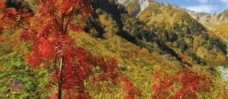 写メ日記 ふうか 10/3(土) 12:05