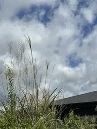 写メ日記 雨宮優子 10/10(土) 07:44