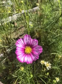 写メ日記 ふみ 10/10(土) 11:34