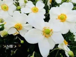 写メ日記 小山真帆 10/16(金) 15:46