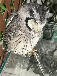 写メ日記 まこと 10/17(土) 09:10