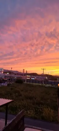 写メ日記 立花恋 10/18(日) 18:10
