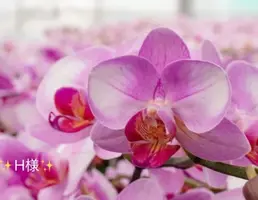 写メ日記 小山真帆 10/19(月) 08:48