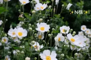写メ日記 小山真帆 10/20(火) 14:14