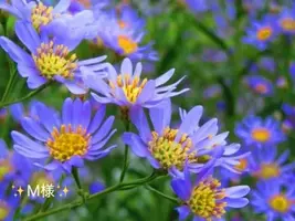 写メ日記 小山真帆 10/20(火) 14:48