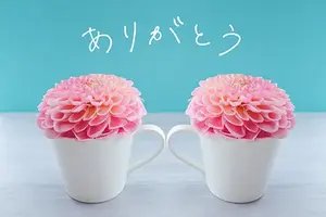写メ日記 まい 10/23(金) 17:23